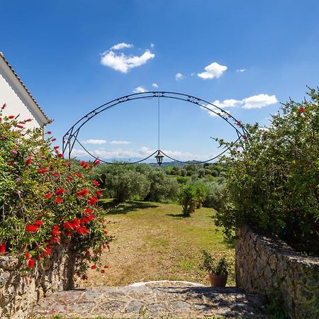 Classical Villa Anta Ágios Ioánnis Dış mekan fotoğraf