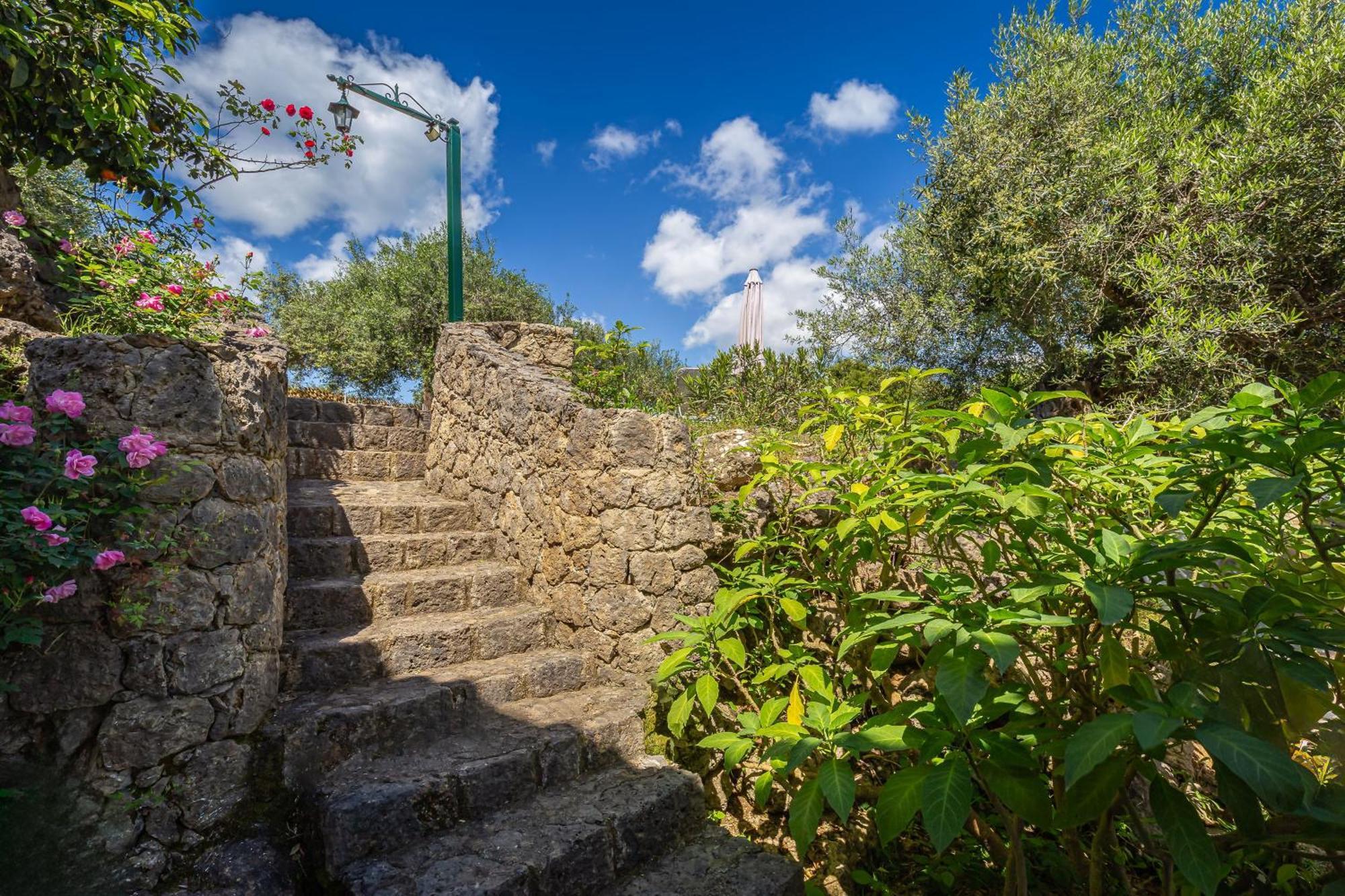 Classical Villa Anta Ágios Ioánnis Dış mekan fotoğraf