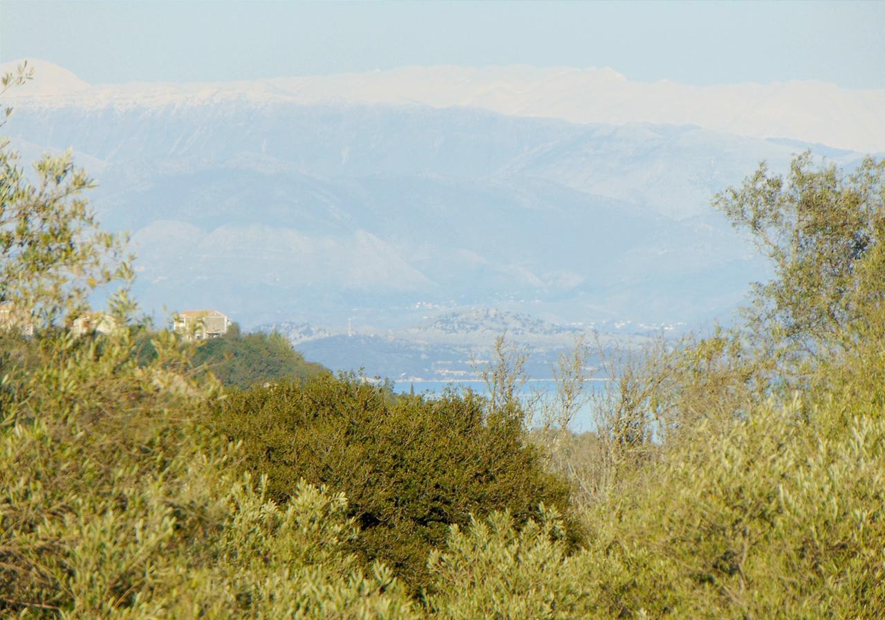 Classical Villa Anta Ágios Ioánnis Oda fotoğraf